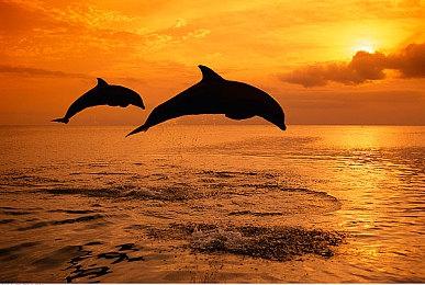 《赛博朋克2077》登顶Steam热销榜 DLC明日正式解锁