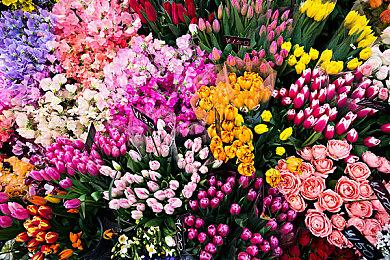 最美河木镇！如果用虚幻5.4重现《上古卷轴5》